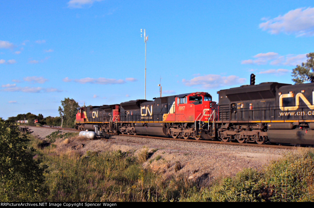 CN 8917